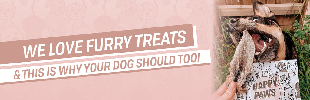 We Love Furry Treats and This Is Why Your Dog Should Too!